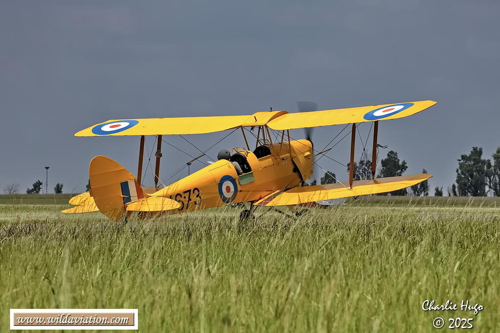 Moth Centenary Rand 2025 3B6A5151