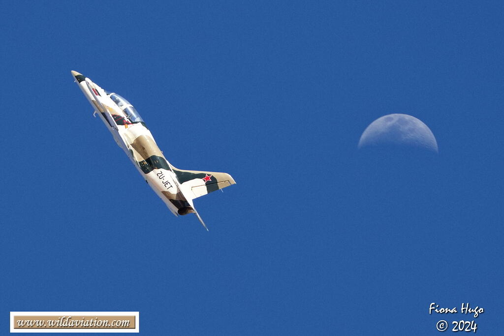 ICAD 2024 Fiona 081A7421