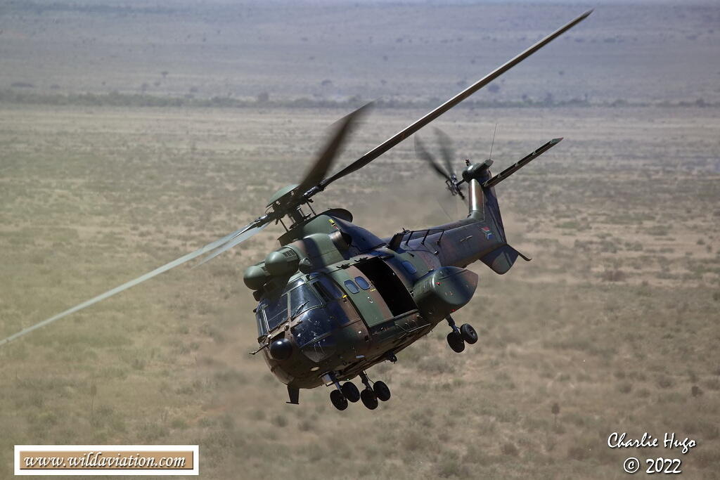 Lohatla 2022 AK7Z1699