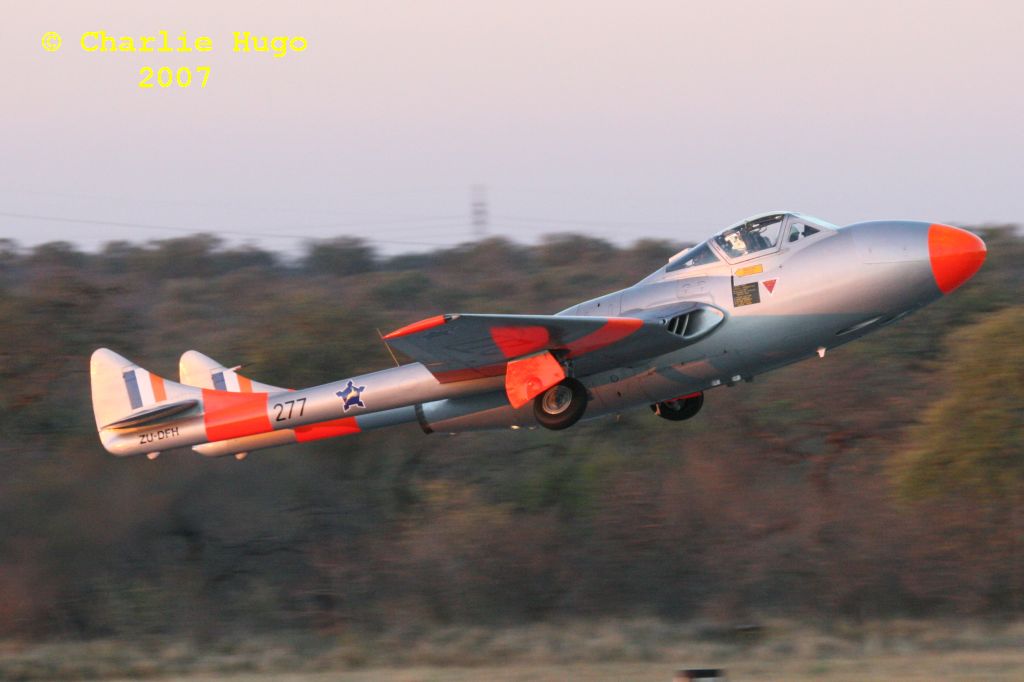 Vampire IMG 6050