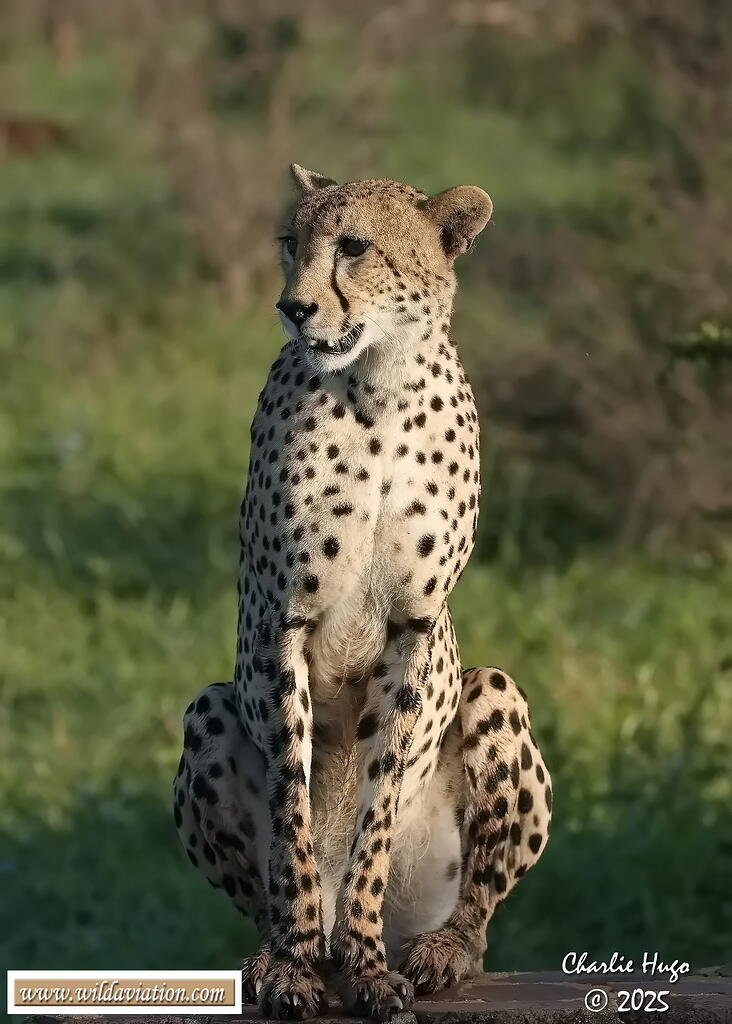 KNP Dec 2025 029A3166