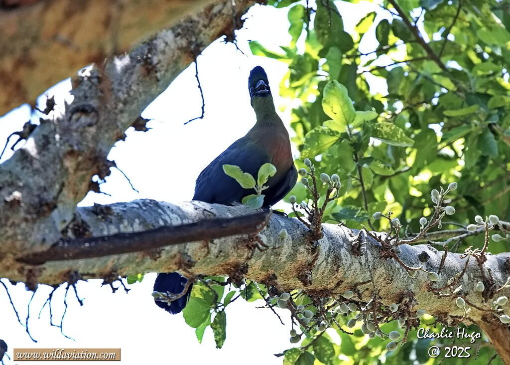 KNP Dec 2025 029A3426