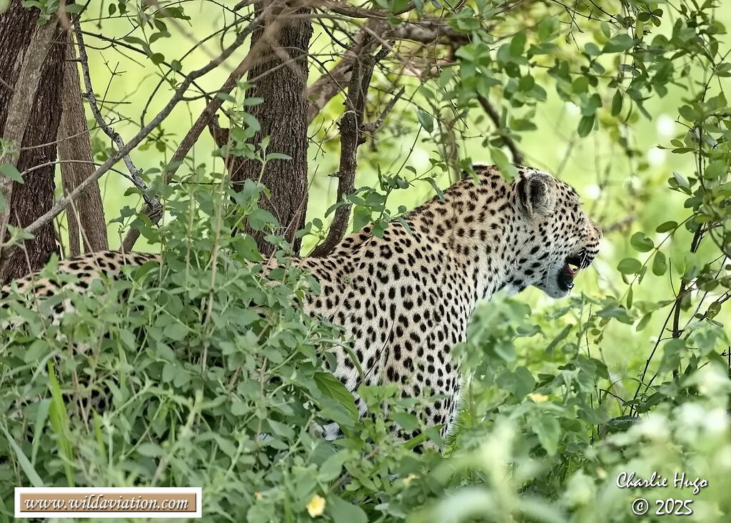 KNP Dec 2025 029A3569