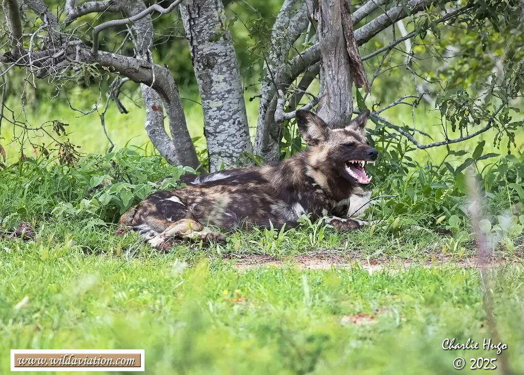 KNP Dec 2025 029A3794