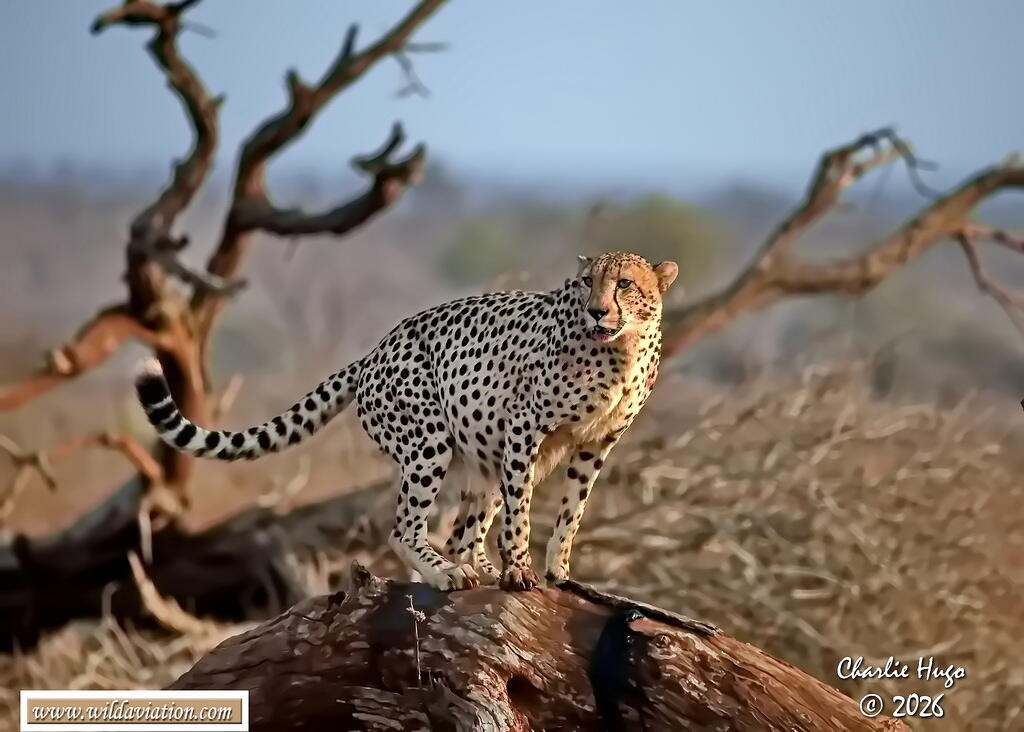 KNP 08-2025 029A6218