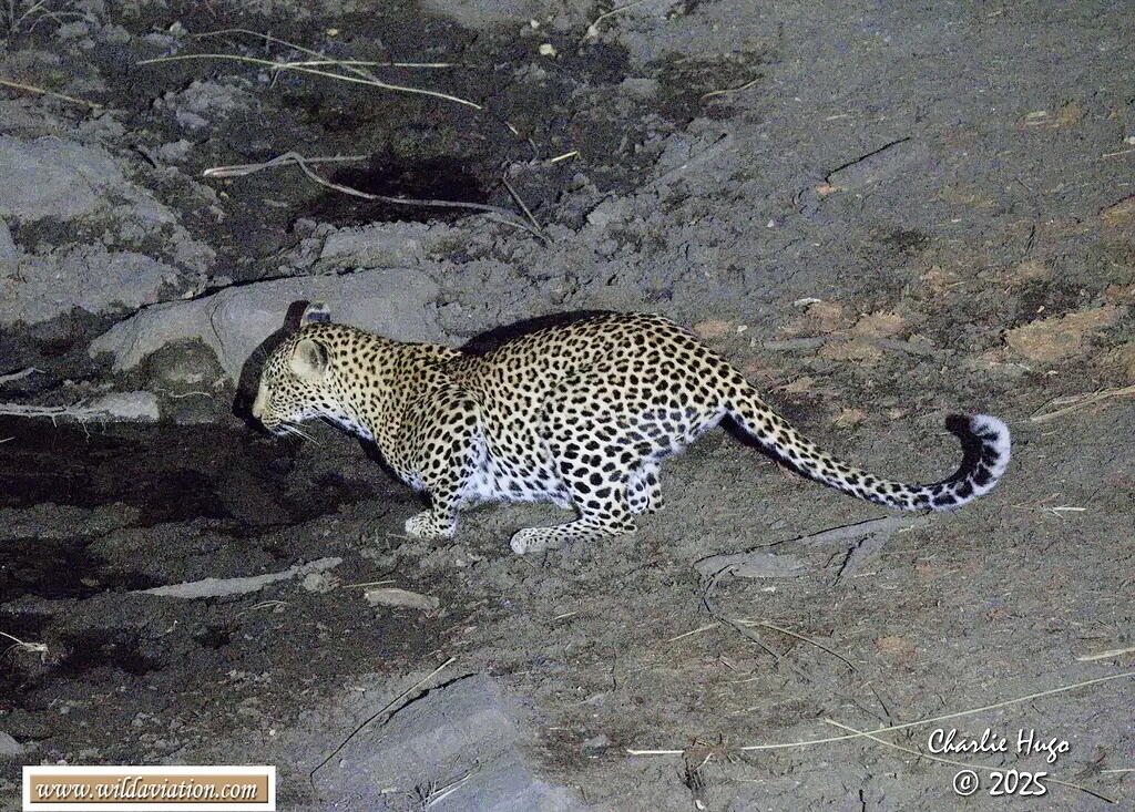 KNP 09-2025 029A6874