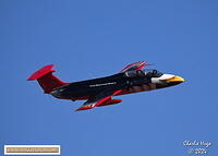 Newcastle 2024 3B6A6509