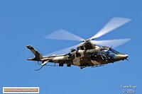 Newcastle Airshow 2024 Fiona 081A2627