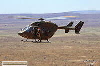 SANDF