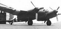 Mosquito