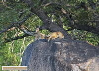 KNP Dec 2025 029A2920