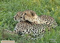 KNP Dec 2025 029A3105