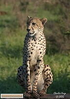 KNP Dec 2025 029A3166