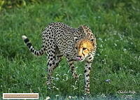 KNP Dec 2025 029A3225