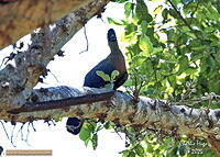 KNP Dec 2025 029A3426