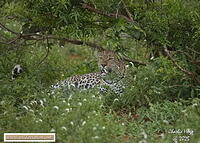 KNP Dec 2025 029A3517