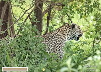 KNP Dec 2025 029A3569