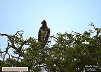 KNP Dec 2025 029A3650