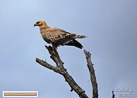 KNP Dec 2025 029A3735