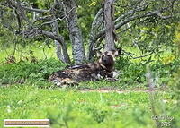 KNP Dec 2025 029A3783