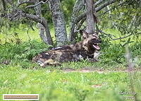 KNP Dec 2025 029A3794