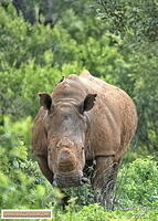 KNP Dec 2025 029A3866