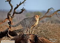 KNP 08-2025 029A6218