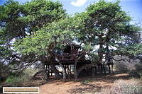 Mokala 2023 AK7Z1048