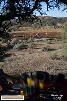 Mokala 2023 AK7Z1142