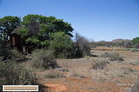 Mokala 2023 AK7Z1157