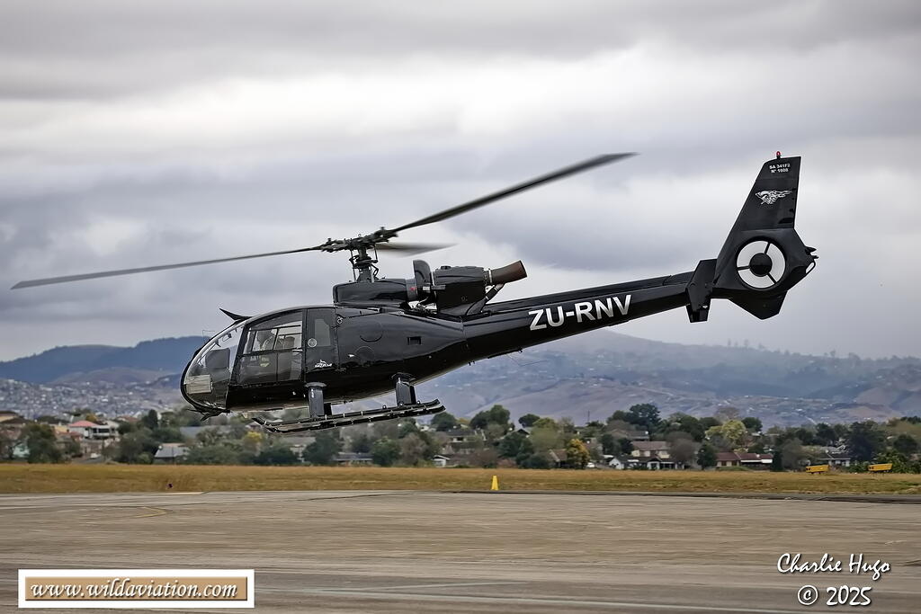 PMB 2025 029A2131