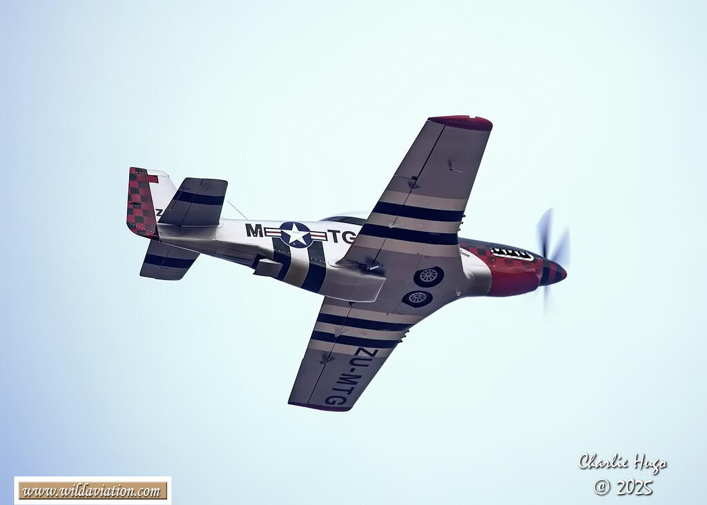 Westcoast 2025 3B6A7517