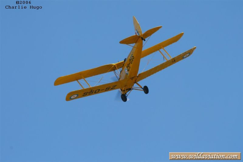 IMG 29903