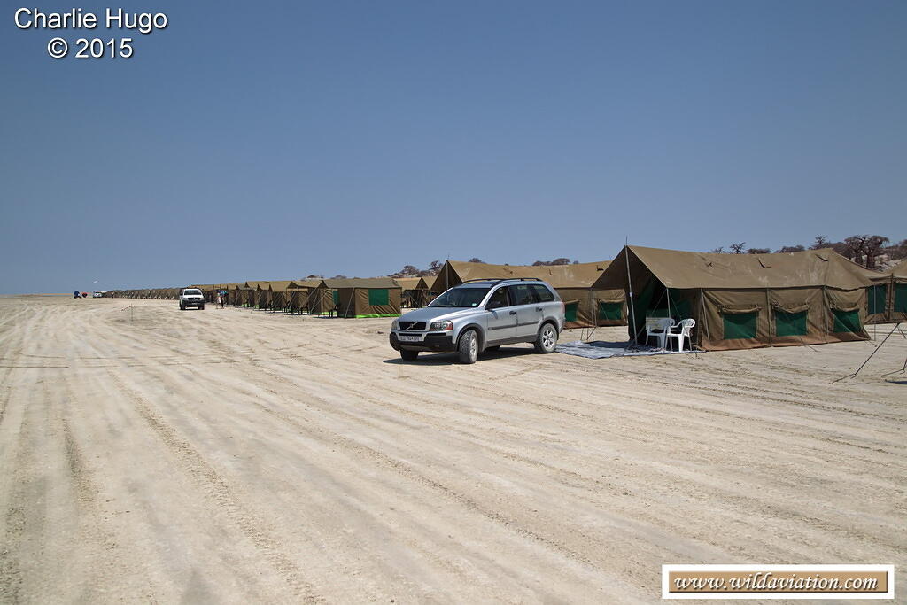 RfR Kubu Island 2015 CP5O6007