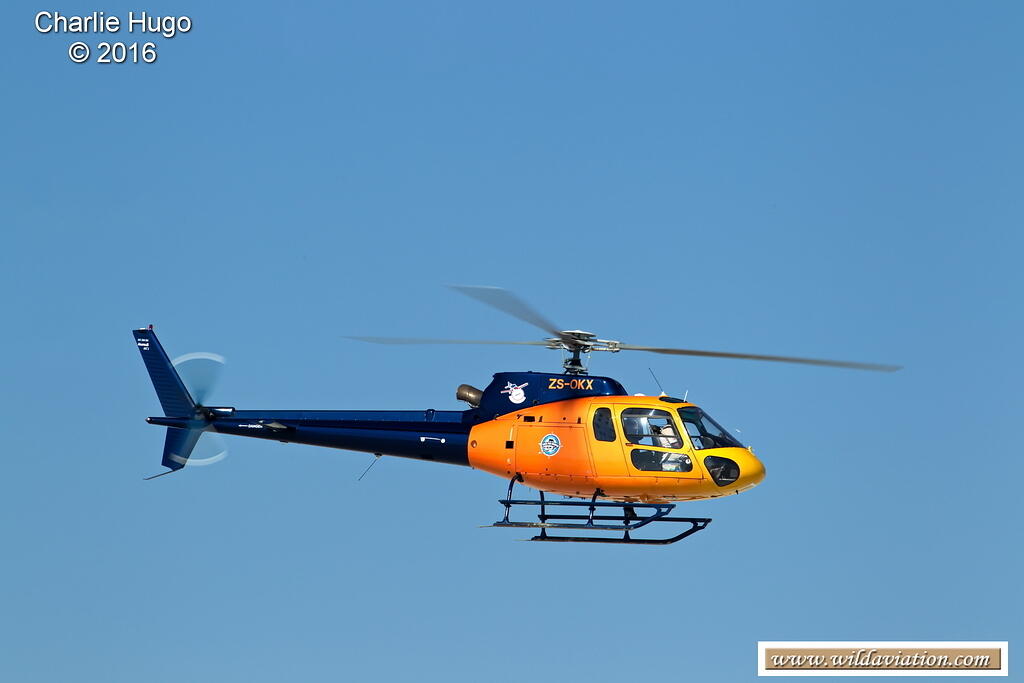 RfR Kubu 2016 CP5O5940