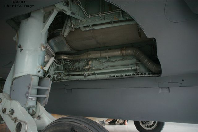 Buccaneer IMG 9250