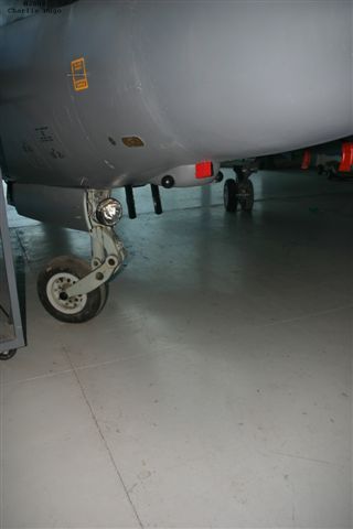 Buccaneer IMG 9255 JPG