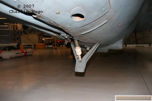 IMG 10918