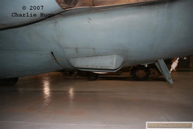 IMG 10923
