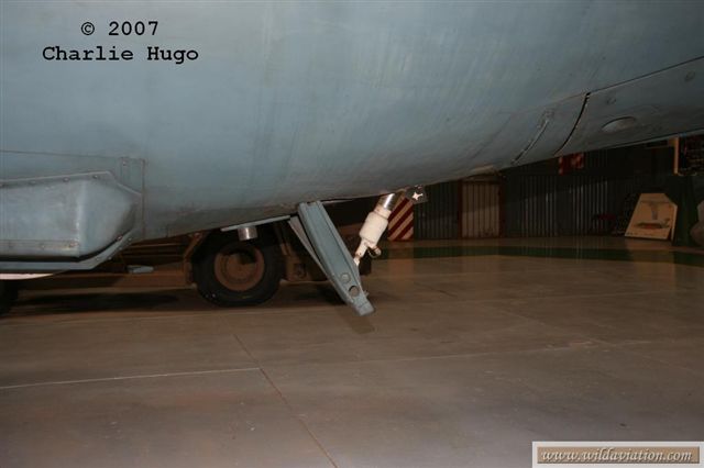 IMG 10924