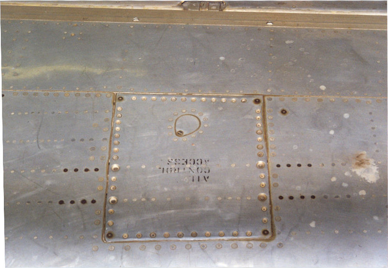 WING4