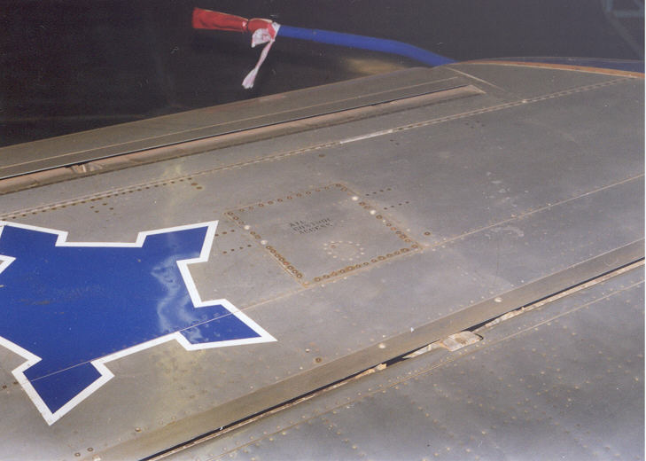 wingsten1