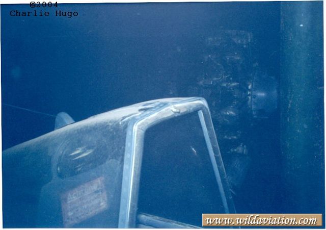 canopyframe