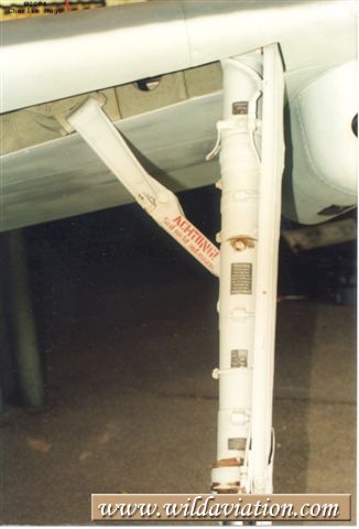 lfmainleg