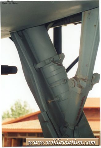 lfmainleg3