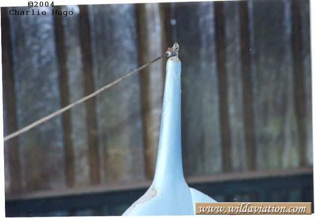 tailantennapost