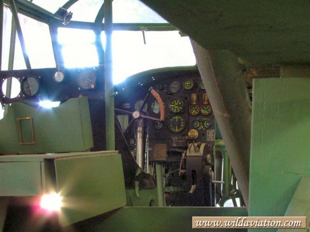 Anson 2004 0131swartkop Anson 20004