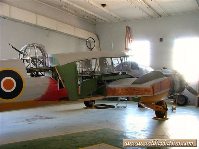 Anson 2004 0131swartkop Anson 30054