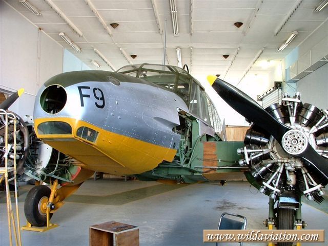 Anson 2004 0131swartkop Anson 30059
