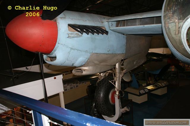 IMG 5502